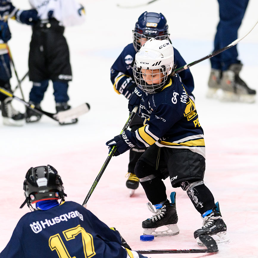 hockeyskolan1